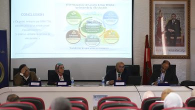 WhatsApp Image 2026 04 16 at 13.33.30 1