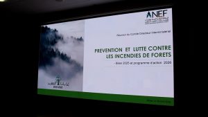 WhatsApp Image 2026 04 28 at 15.19.07 1