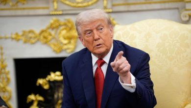 vis 0117202620422736