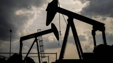 vis 0307202610100428