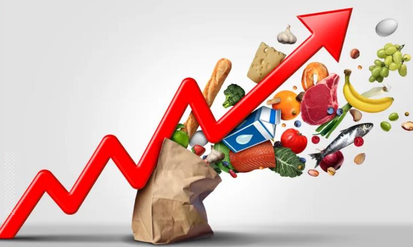 vis 0403202609455474