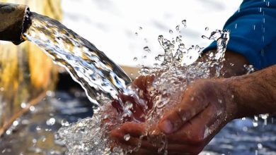 vis 0415202618424662