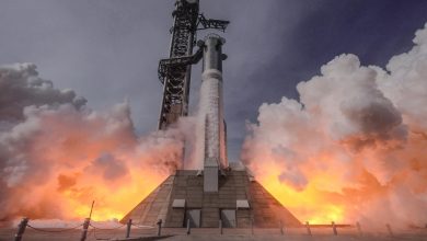 vis 0416202611542194