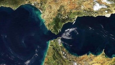 Le tunnel Maroc-Espagne se rapproche : un projet historique entre l’Afrique et l’Europe 4 1768923449479 cropped 1768923443257 hfu8fc6m