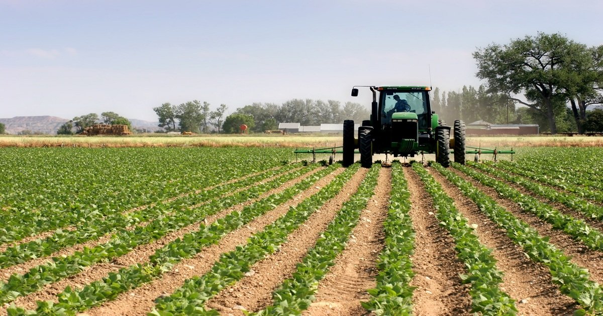 Agriculture Maroc