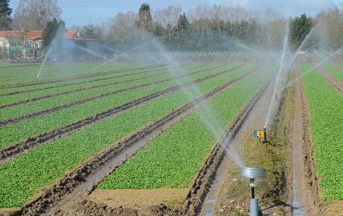 Irrigation eaux usees