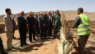 Biodiversité à Drâa-Tafilalet : l’ANEF lance plusieurs projets de développement durable et de préservation des écosystèmes 3 Photo prise lors dune visite de terrain menee par lANEF dans les provinces dErrachidia et de Tinghir a loccasion de la Journee internationale de la diversite biologique Ayoub Jouadi LeBrief 3
