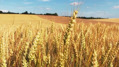 Revolution agricole