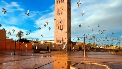 Vue de la Mosquée Koutoubia à Marrakech, avec son minaret emblématique dominant une place pavée encore humide après la pluie. Des pigeons s’envolent en groupe dans un ciel partiellement nuageux, tandis qu’un bassin en pierre au premier plan reflète la lumière dorée du soleil.