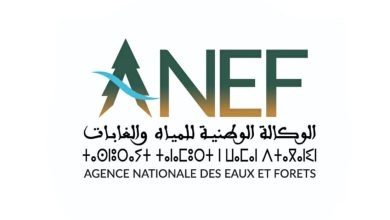 vis 0210202521095106