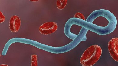 Les États-Unis débloquent 80 millions de dollars supplémentaires pour lutter contre l’épidémie d’Ebola 7 vis 0529202600145644