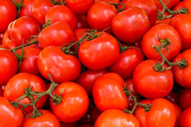 La valeur nutritive des tomates 1200x630 1 1