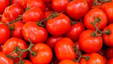La valeur nutritive des tomates 1200x630 1