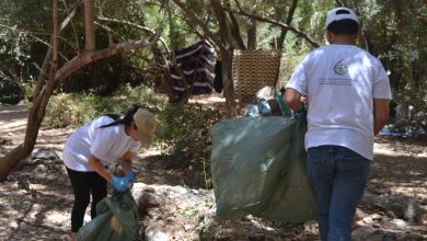La Société Régionale Multiservices Souss-Massa participe à la Journée de l’Environnement au Parc de la Vallée du Paradis 3 WhatsApp Image 2026 06 07 at 20.49.49