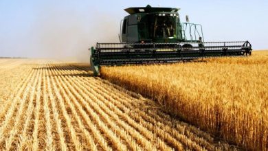 agriculture pays arabes oada 5 e1611926533192