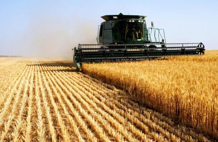 agriculture pays arabes oada 5 e1611926533192
