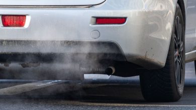Fin des voitures thermiques en 2035 : les divergences s’accentuent entre la France et l’Allemagne 6 germany eu politics automobile climate industry environment emis 36534414