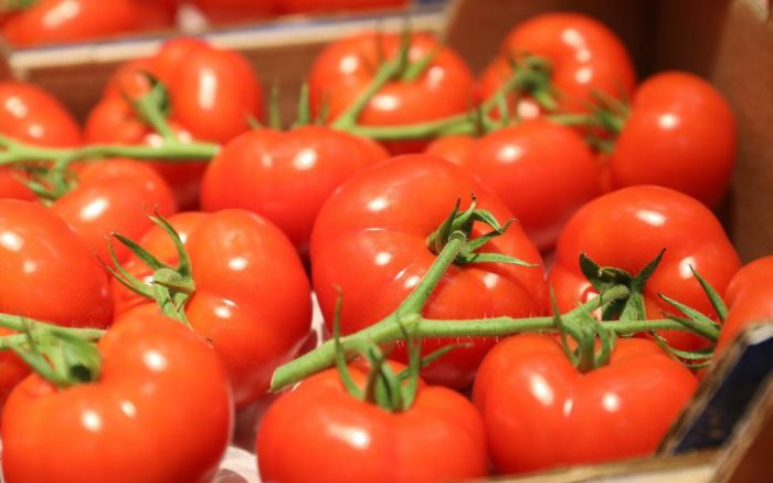 tomates classement mondial 20 e1624373902627