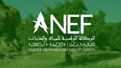 Le Conseil supérieur de la chasse fixe l'ouverture de la saison de chasse 2026-2027 au dimanche 4 octobre 2026 17 Le Conseil supérieur de la chasse fixe l'ouverture de la saison de chasse 2026-2027 au dimanche 4 octobre 2026