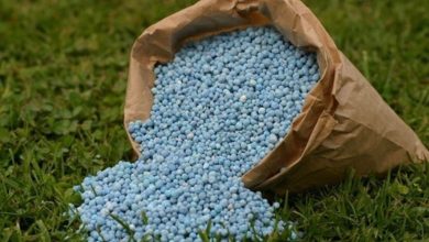 Les agriculteurs américains plaident pour un accès facilité aux engrais phosphatés marocains 22 Engrais