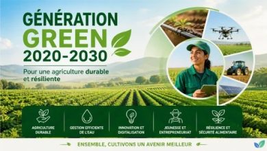 Génération Green : le Maroc lance l’évaluation à mi-parcours pour accélérer la transformation du secteur agricole 21 Generation Green 2020 2030.webp.bv resized mobile.webp.bv