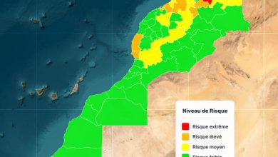 Risque d’incendies de forêt : l’Agence nationale des eaux et forêts publie une nouvelle alerte