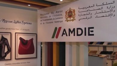 Export : l’AMDIE accompagne les entreprises marocaines vers le marché allemand 11 amdie