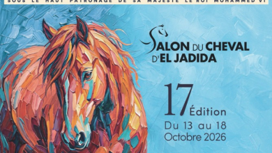 Salon du Cheval d’El Jadida 2026 : la 17ᵉ édition se tiendra du 13 au 18 octobre sous le thème « Le cheval au service de l’humain » 20 image 5