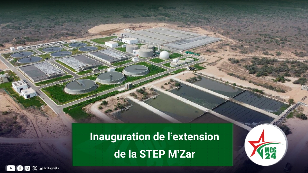 img 1785105856379