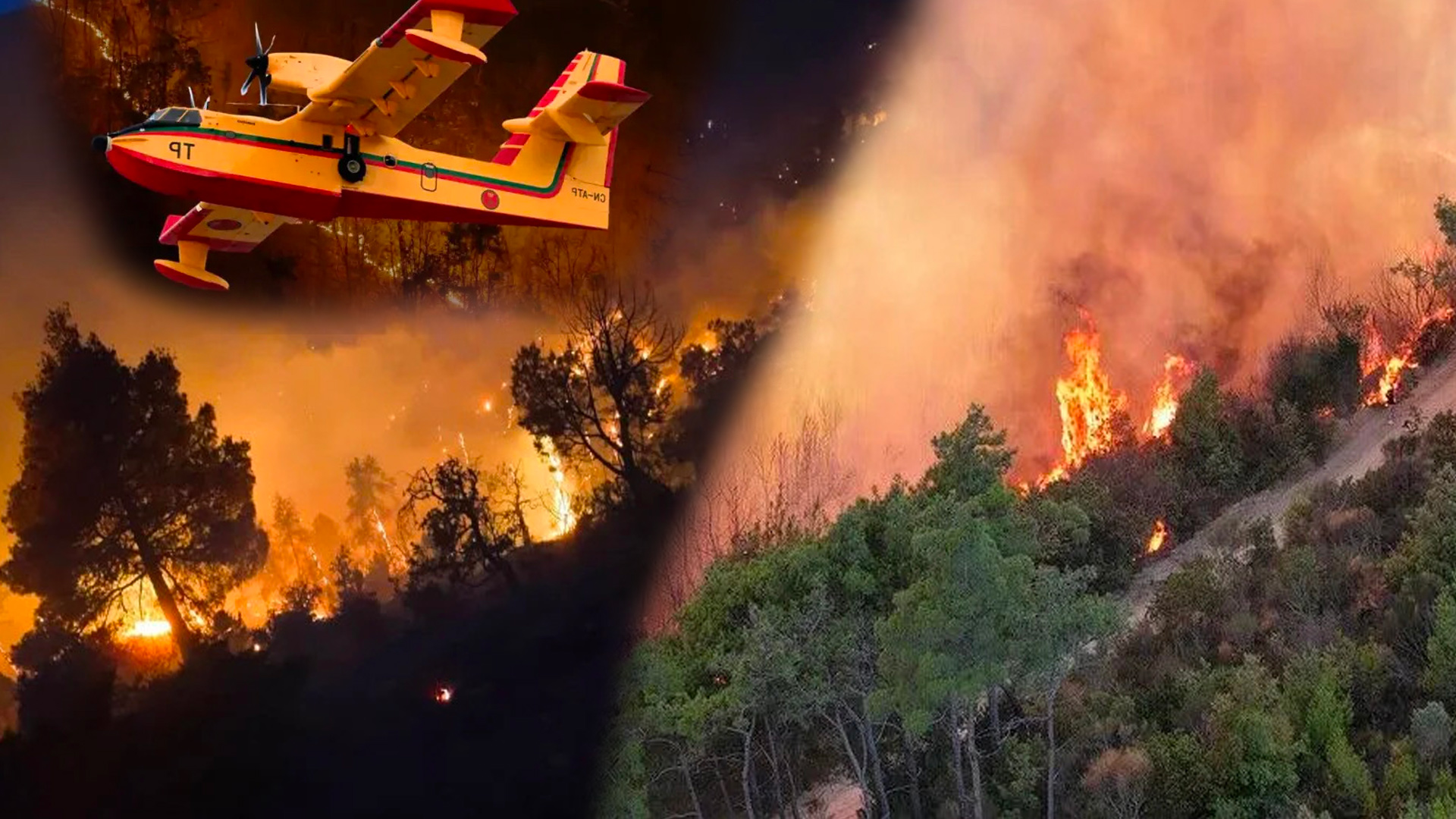 Incendies de forêt au Maroc : les plus grands foyers maîtrisés, les dégâts atteignent 628 hectares