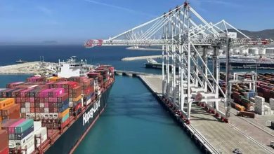 Ports marocains : après les infrastructures, le défi est désormais industriel et logistique 12 tanger med 2 rennforcement capacite conteneurs