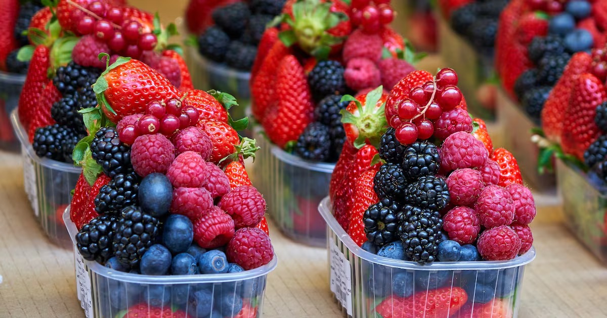 Les fruits rouges marocains renforcent leur présence sur le marché norvégien 1 56OLCS42DRHRFCG3RAOIU5CNFU