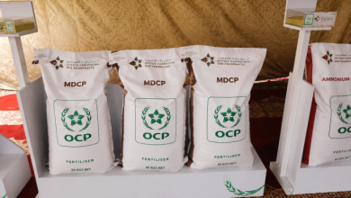 Le Bangladesh approuve l’achat de 70 000 tonnes d’engrais marocains auprès d’OCP Nutricrops pour près de 56 millions de dollars 3 image 120