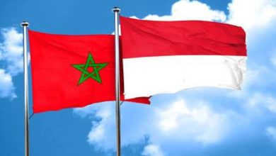Maroc-Indonésie : un accord commercial attendu d’ici 2027 3 images 5