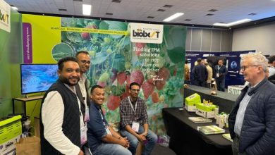 Biobest prend le contrôle total de sa filiale au Maroc 3 1763982902258