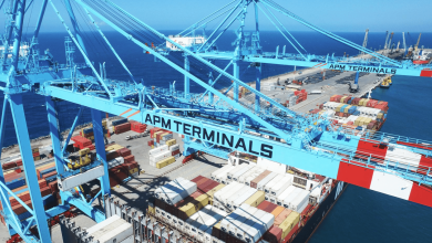 APM Terminals cranes