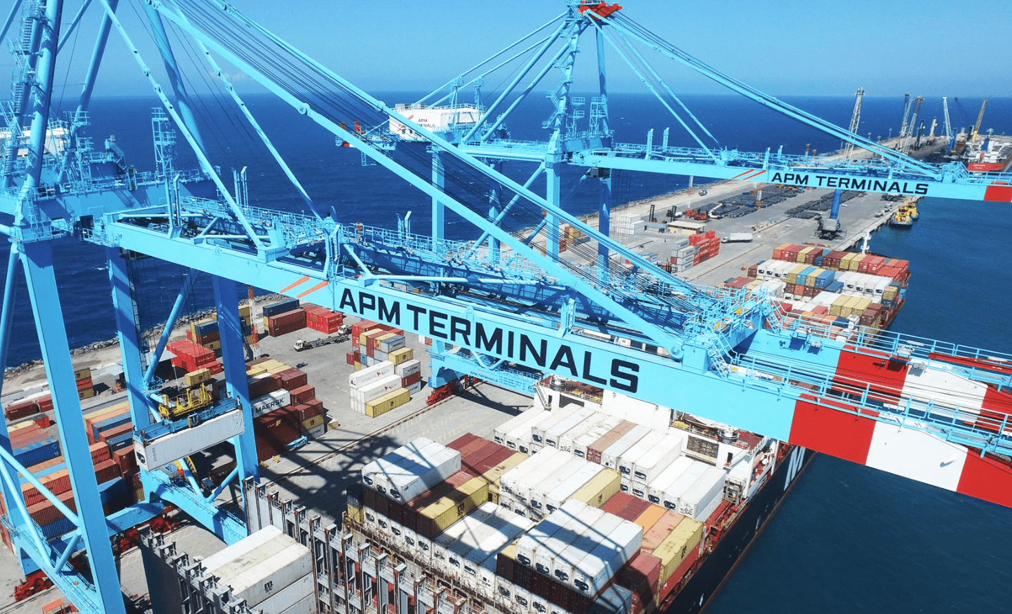 APM Terminals cranes