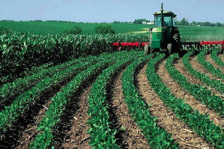 Le ministere de lAgriculture annonce une campagne agricole prometteuse dans