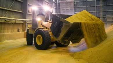 WebsiteThumbnail Agribusiness cornprocessing