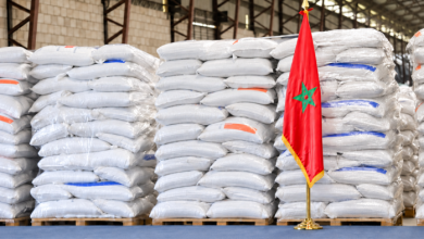 Le Maroc offre 500 quintaux d’engrais au Panama 3 image 117 700x394 1