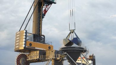 liebherr lps 550 portal slewing mobile harbour crane bulk mbt france