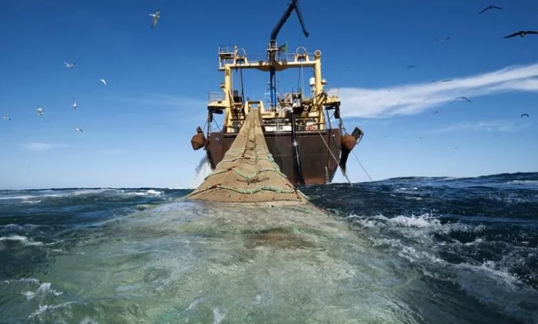 Projet de point de débarquement des produits de la pêche à Dikky : les études techniques lancées 1 sayd