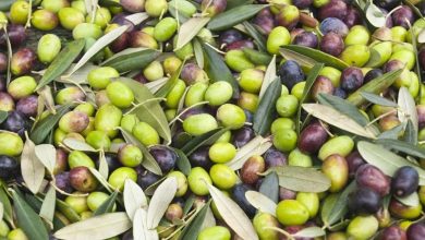 olives