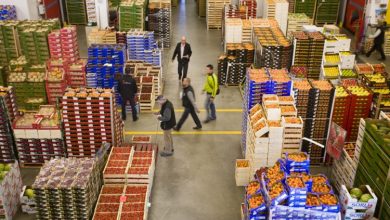 Les produits alimentaires américains renforcent leur présence au Maroc avec 270 millions de dollars d’importations 3 produits alimentaires